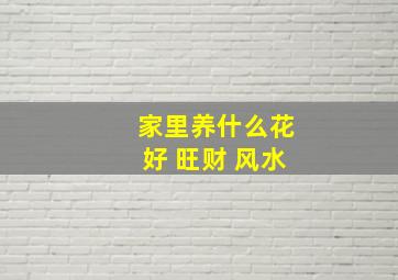 家里养什么花好 旺财 风水